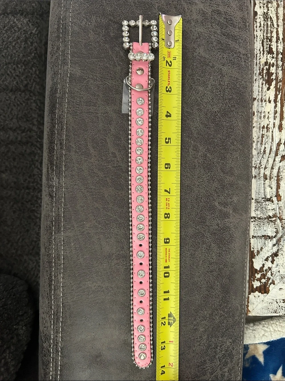 Crystal-Embellished Pink Dog Collar with Buckle 14”